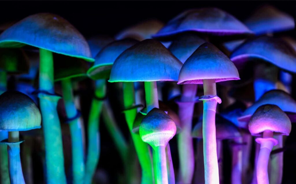 Psilocybin