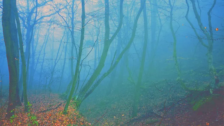 The Hippocratic Post - profession