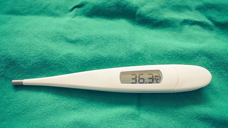 vital signs thermometer